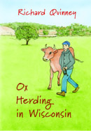 Ox Herding in Wisconsin